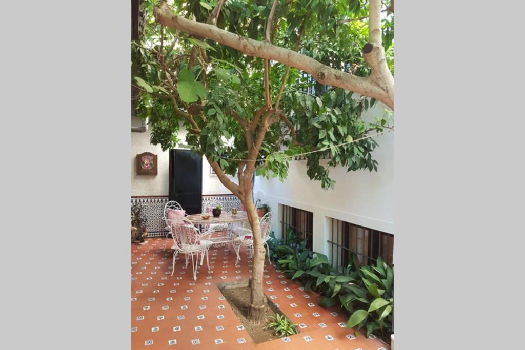 Casa con jardín GRANADA, fácil aparcamiento calle Сasa de vacaciones
